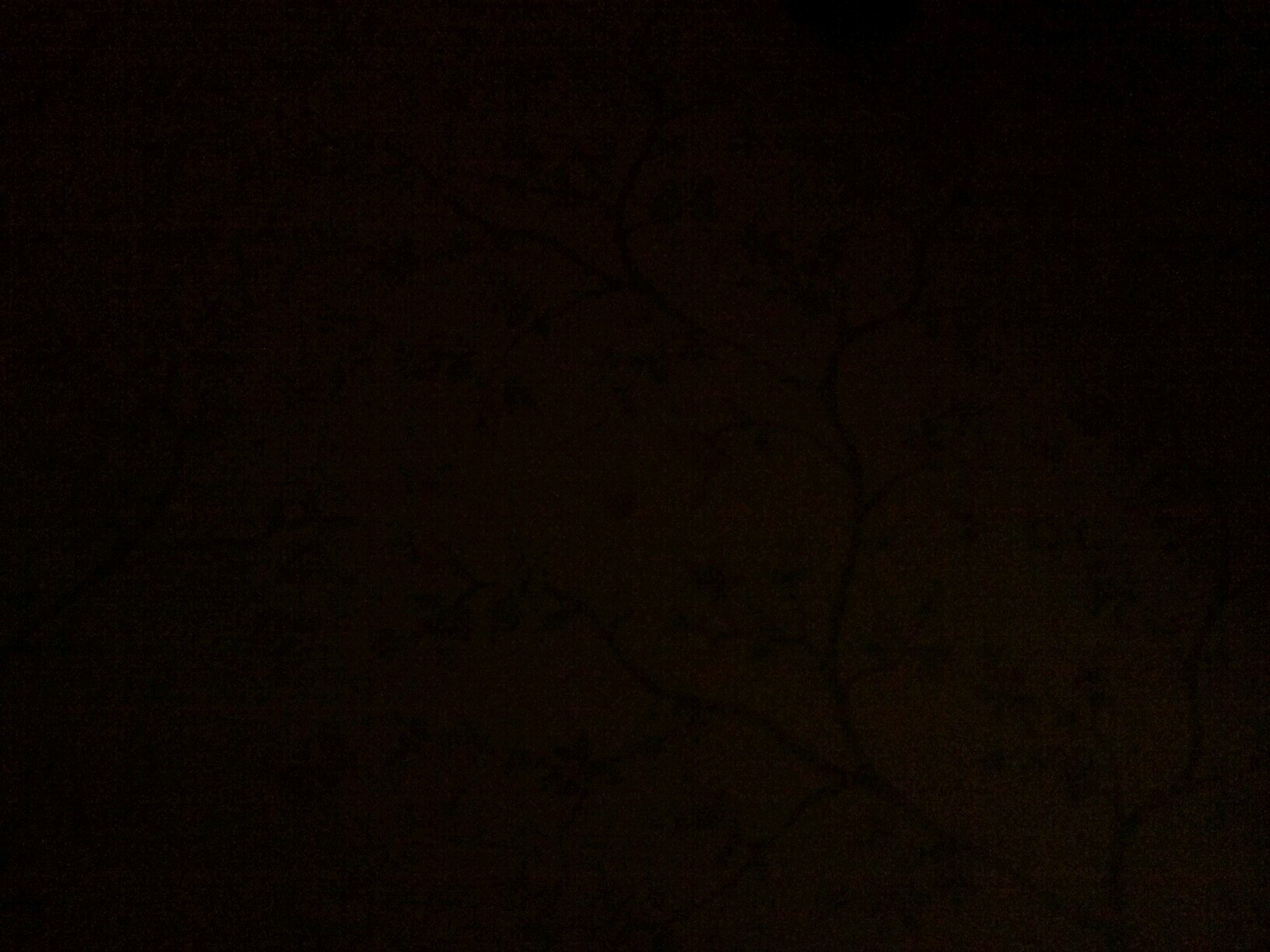 mmjjss1023's profile picture. 