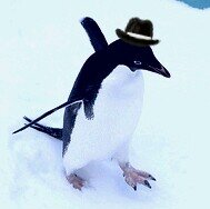 モコモカ🐻とペンギンが好きな元弓道部🐧こちらのアカウントはあまり見れてないので、反応が遅くなることが多いです