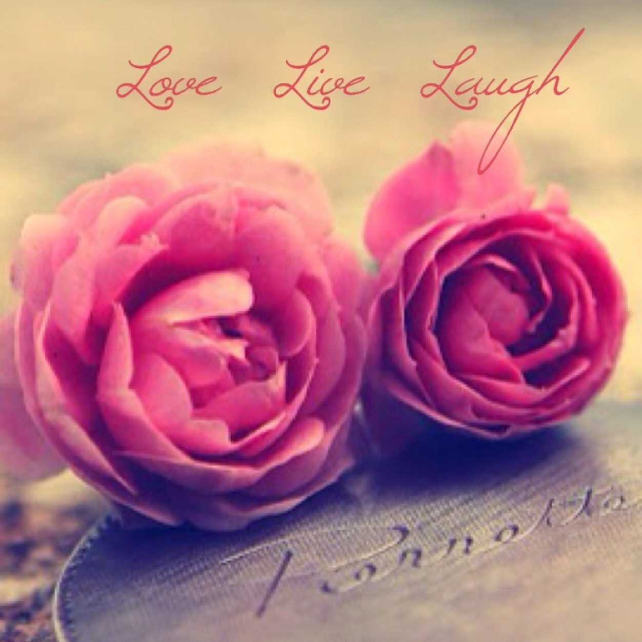 Aman_Gidda's profile picture. 