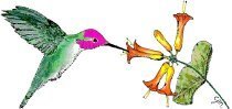 NatureScaping of SW WA is a nonprofit volunteer run educational organization whose goal is to encourage everyone to make their gardens a sanctuary for wildlife