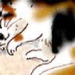 Maka.Yoshino 筆名:吉野摩訶 ハンドル:こまね or みけ アイコンは@syouko14さん作 バックは本猫 初作は第17回AAF戯曲賞のサイトにあります.