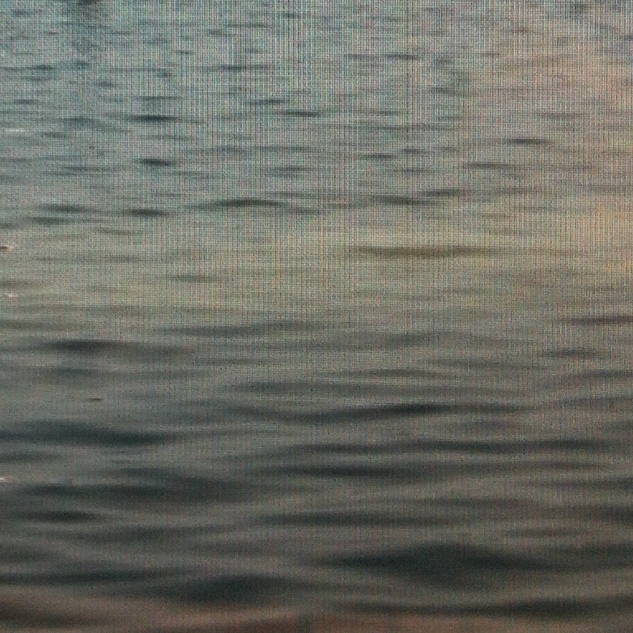 gossipgirllr's profile picture. spreading the news of the 501