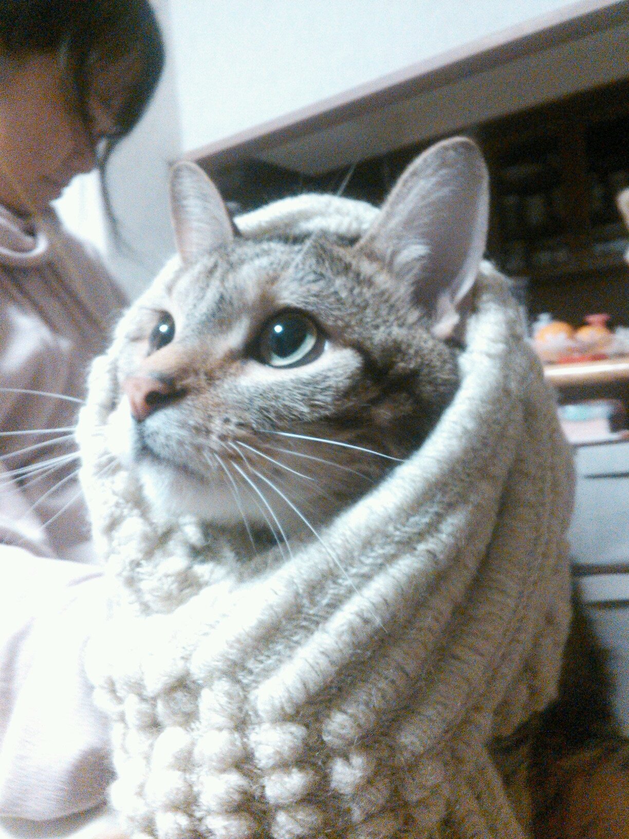 ワンオク大好き受験生