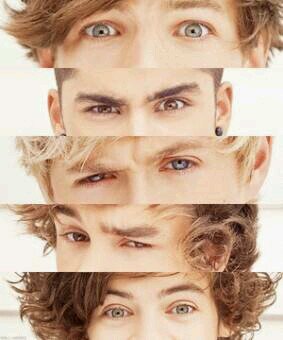 my life ( 1D, Demi, Ed and katy ) lo aceptó no estoy bien pero lo estaré :(: