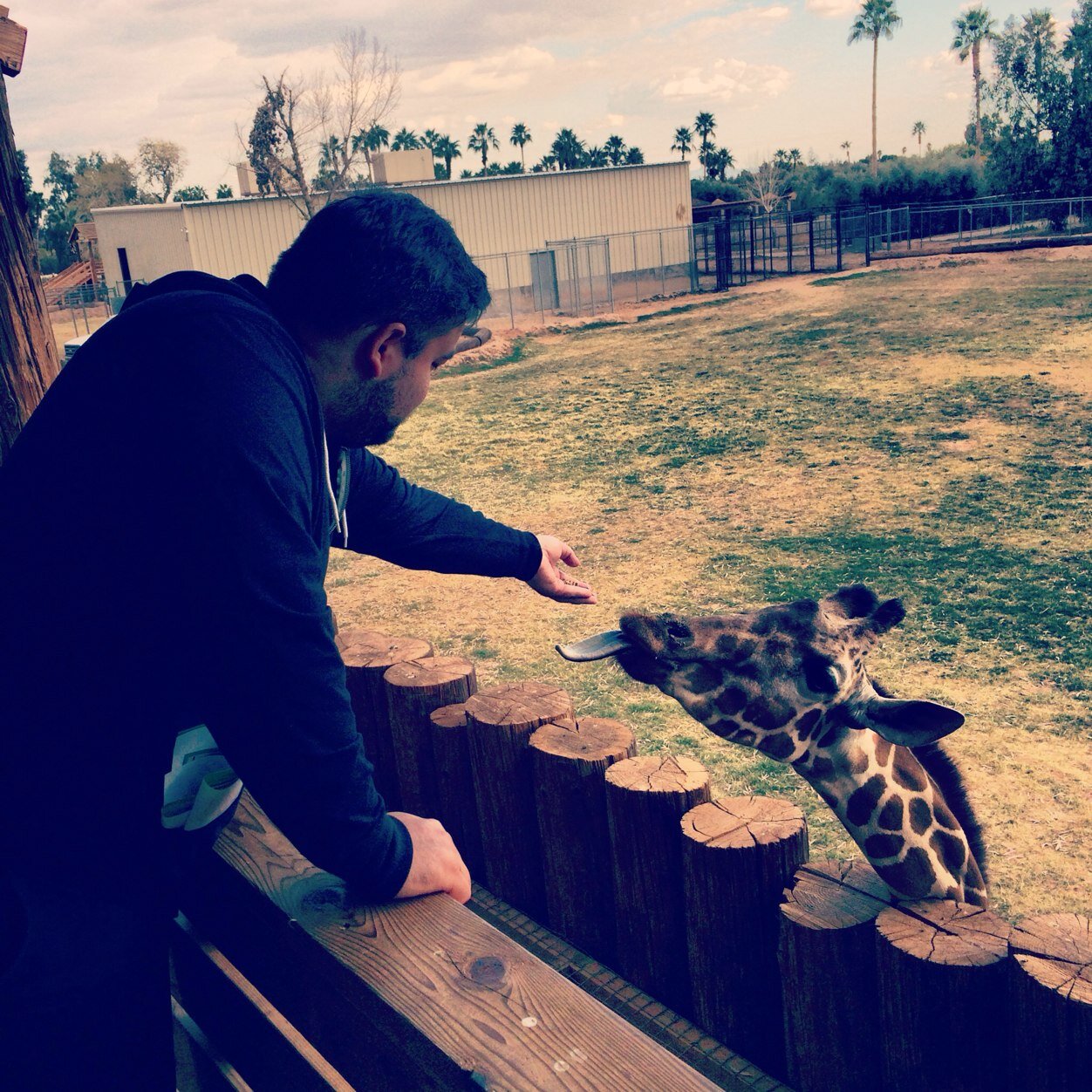 AdrianFlanagan's profile picture. 