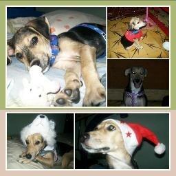 Shaggy_Saalc's profile picture. Books are easily destroyed but words will live as long as people can remember them.  I love books! I enjoy reading instead of going out.