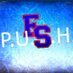 FS PUSH (@fspush) Twitter profile photo