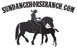 1Sundance_Ranch's profile picture. We teach you more than how to ride a horse. We help you learn to speak your horse's language, because he will never learn to speak yours. We teach you to think.