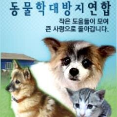 안녕하세요! 동물학대방지연합입니다.
시민들과 자원봉사자들의 도움으로 
양주에 유기견보호소를 운영하고 있습니다.