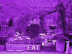 grow_green_grub's profile picture. Student. Chef. Food Activist.
Doing it. And doing it well.