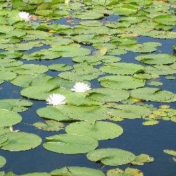 vstaponski's profile picture. Dave's not here.