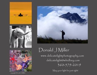 djmlight's profile picture. 