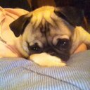 Patti Wells - @pattigwells - Twitter