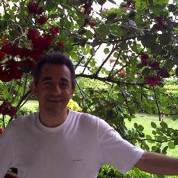 yasarcingoz's profile picture. 