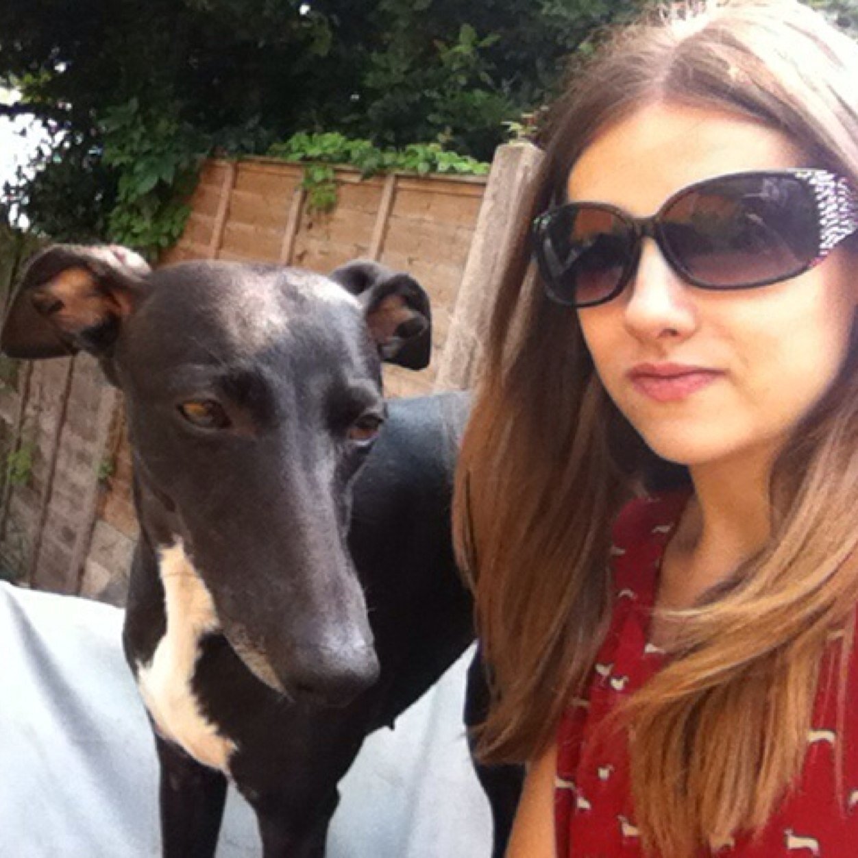 Love my 4 Whippets and my iggy. Love my family Love my boyfriend Love my friends xx xx xx xx xx xx