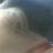 dipset446's profile image