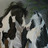 Caron Wiedrickさんのプロフィール画像