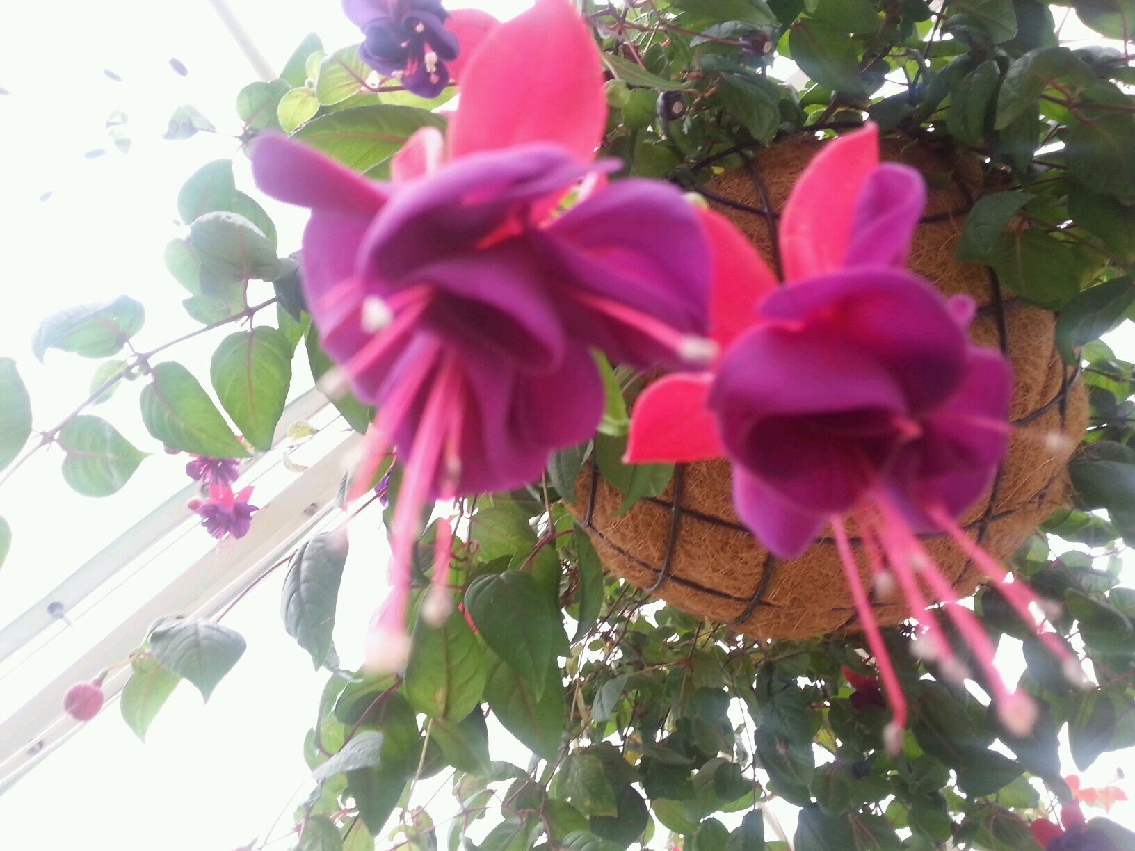 JakyyeEspinoza's profile picture. 