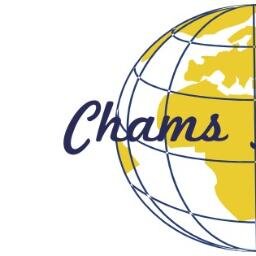 Digital Marketer