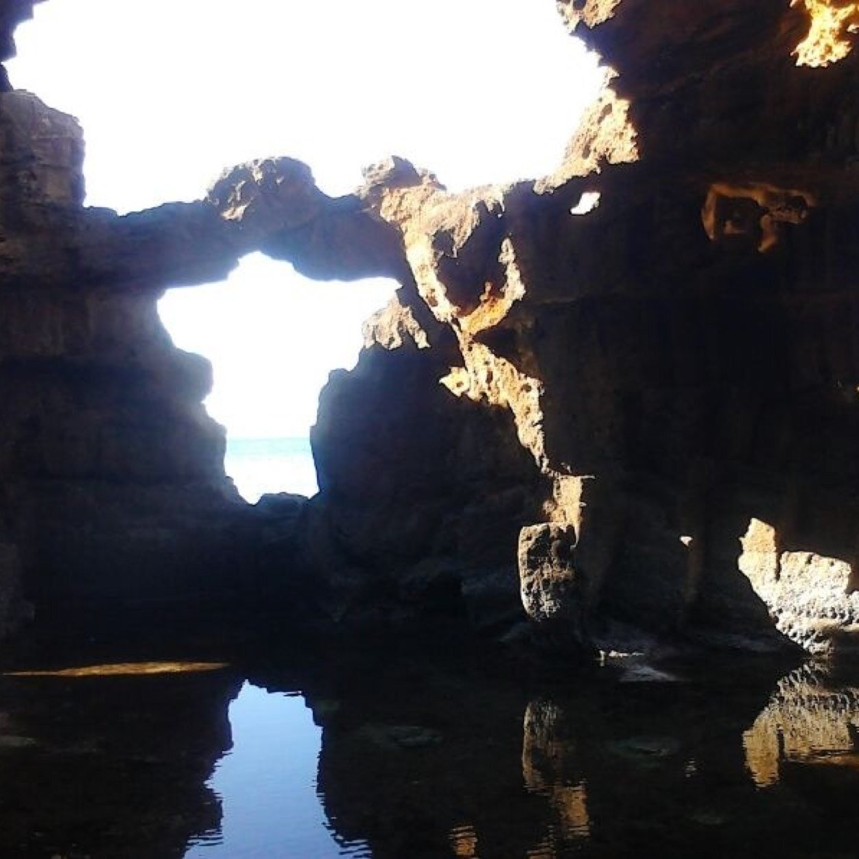 electronverde's profile picture. 