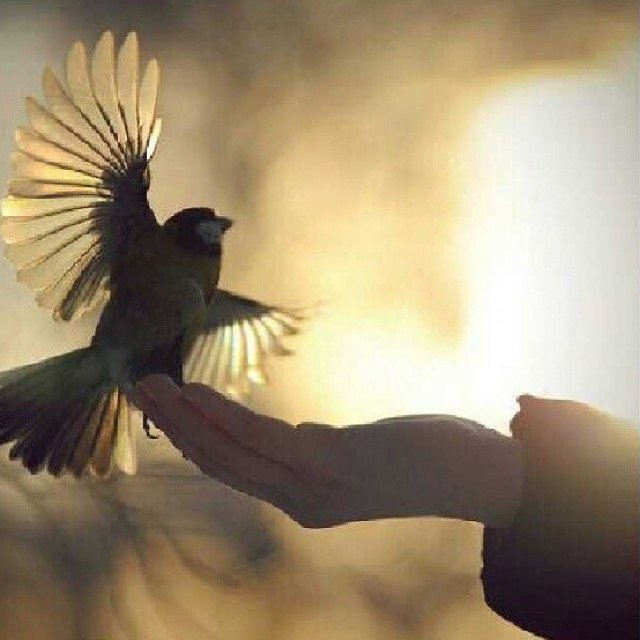 سبحان الله وبحمده سبحان الله العظيم