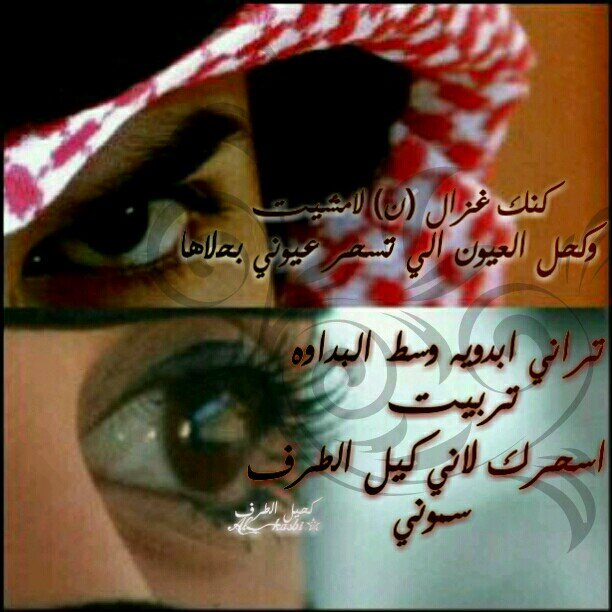 ayshare1's profile picture. ‏“لي ألفُ رأيّ و ألفُ مِزاج و لي مَبدأ واحد عنادي ثم كَرامتي ثمَ كِبريائي ، ثمَ أنا..✆