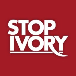 Stop Ivory closed down in 2020. We are proud to have played our part in protecting the African elephant. Please follow @EPIAfrica as it carries on the good work
