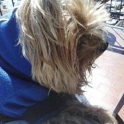 La ricchezza sta nel semplice sorridere in un giorno che non vale niente