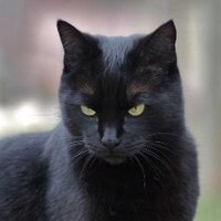 philippe mellet (@phmellet) 's Twitter Profile Photo philippe mellet (@phmellet) 's Twitter Profile Photo