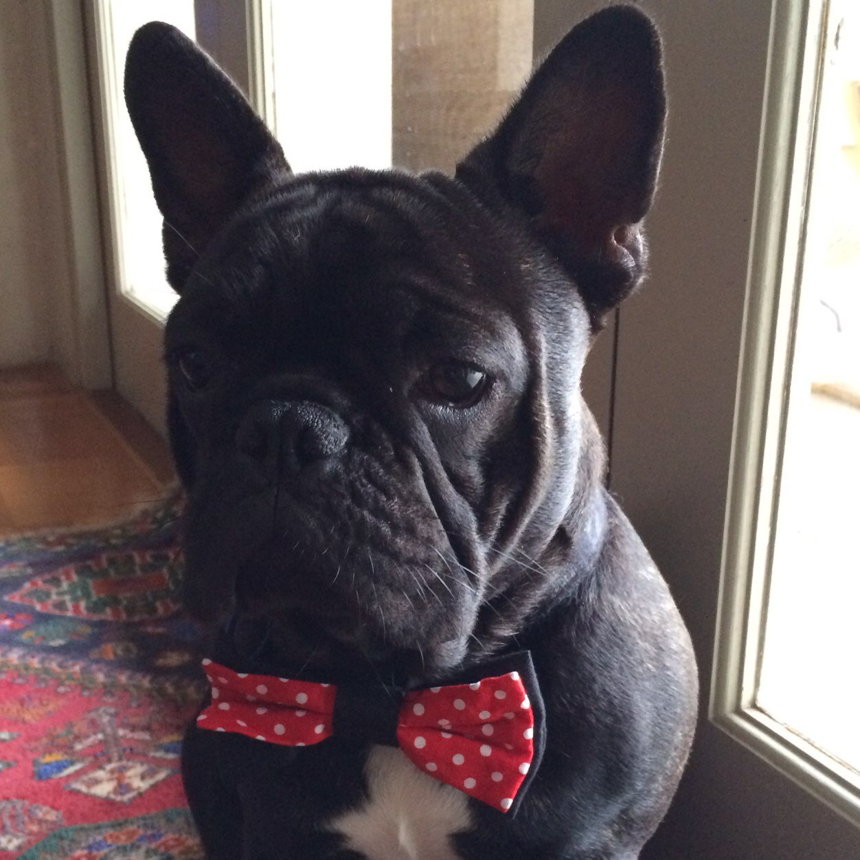 PieterKoorts's profile picture. Neonatologist