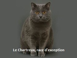 GrenadaSandra's profile picture. Qui je suis,  d'où je viens, vraies questions justement.  Moi j'essaie d'avancer. Même si depuis un petit moment je piètine façon Sisyphe