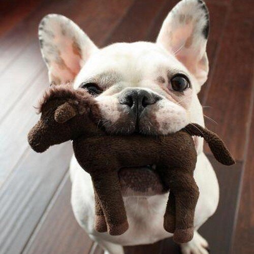 janito536's profile picture. 