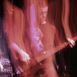 Producer, Bass Player, Personal Trainer and Supplement Slanger