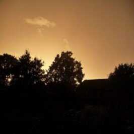 DirectionEssda's profile picture. ichosee