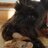 Marag_Dubh's profile image