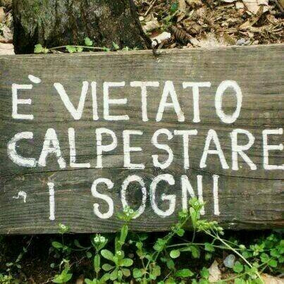 lillileggio74's profile picture. È vietato calpestare i sogni...