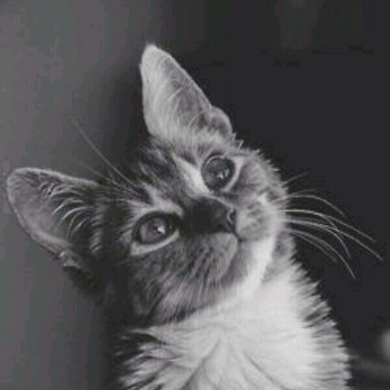 momo_10002's profile picture. 