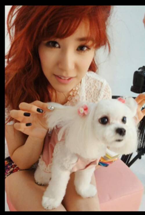RP for Stephanie Hwang | 89L | Girl Generation Eyesmile | Practice Makes Perfect | Elite |