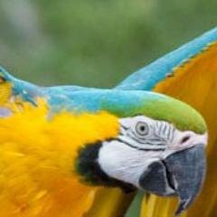 Pawel_Leontiew's profile picture. 