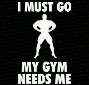 AfricaFitness's profile picture. I'm just a normal guy who loves lifting weights.  Here to inspire the world to get fit. Email pics/Q's/Queries to fitnesssouthafrica2014@gmail.com