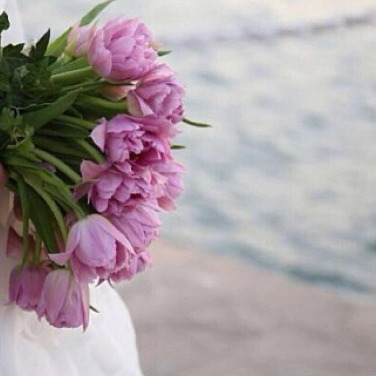 أمي وأبي أنتم الدنيا بأكملها والنعيم بمُجمله💜أتنفس الكتابة والتأمل والأمل)قلمي بالمفضلة💜مدونتي سترى النور قريبًا