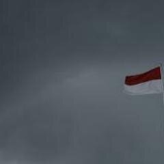 caplinbiber's profile picture. ily