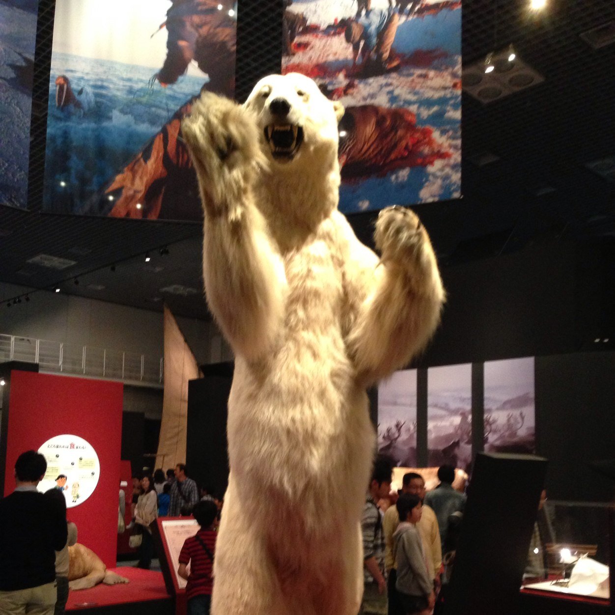 KPoint3's profile picture. 