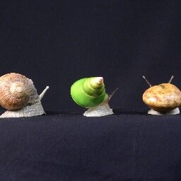 ▽Japanese  sculpture/ 造型  
▽Snail
『世界のかたつむり』名義で、日々ちまちまと陸貝をつくったり、眠っていたり。たまに仕事の事。