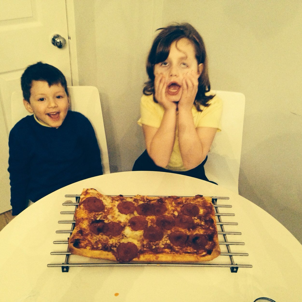 RoyaNasimi's profile picture. 