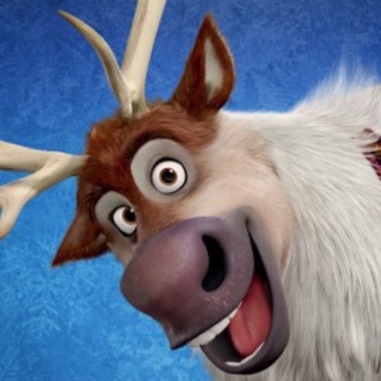 Reindeers are better ! Your Favorite Reindeer.
(RP | PARODY ACC)