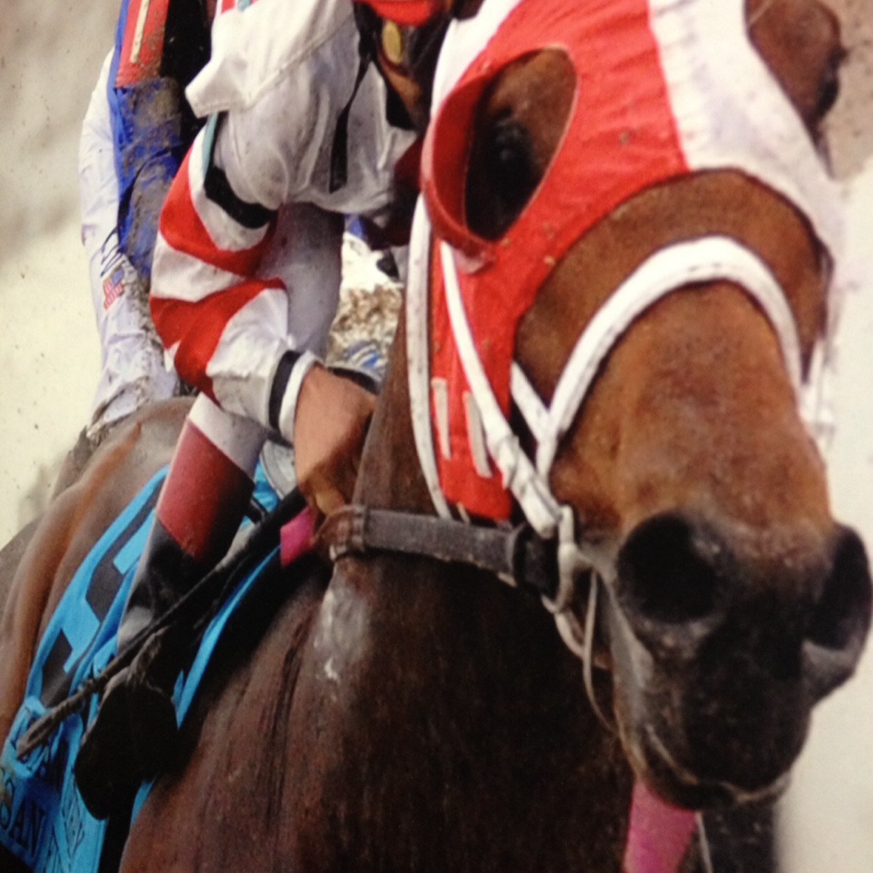 Jocks Agent at Fair Grounds New Orleans. Garlic King of Saratoga Springs and President of Renegade Real Estate.