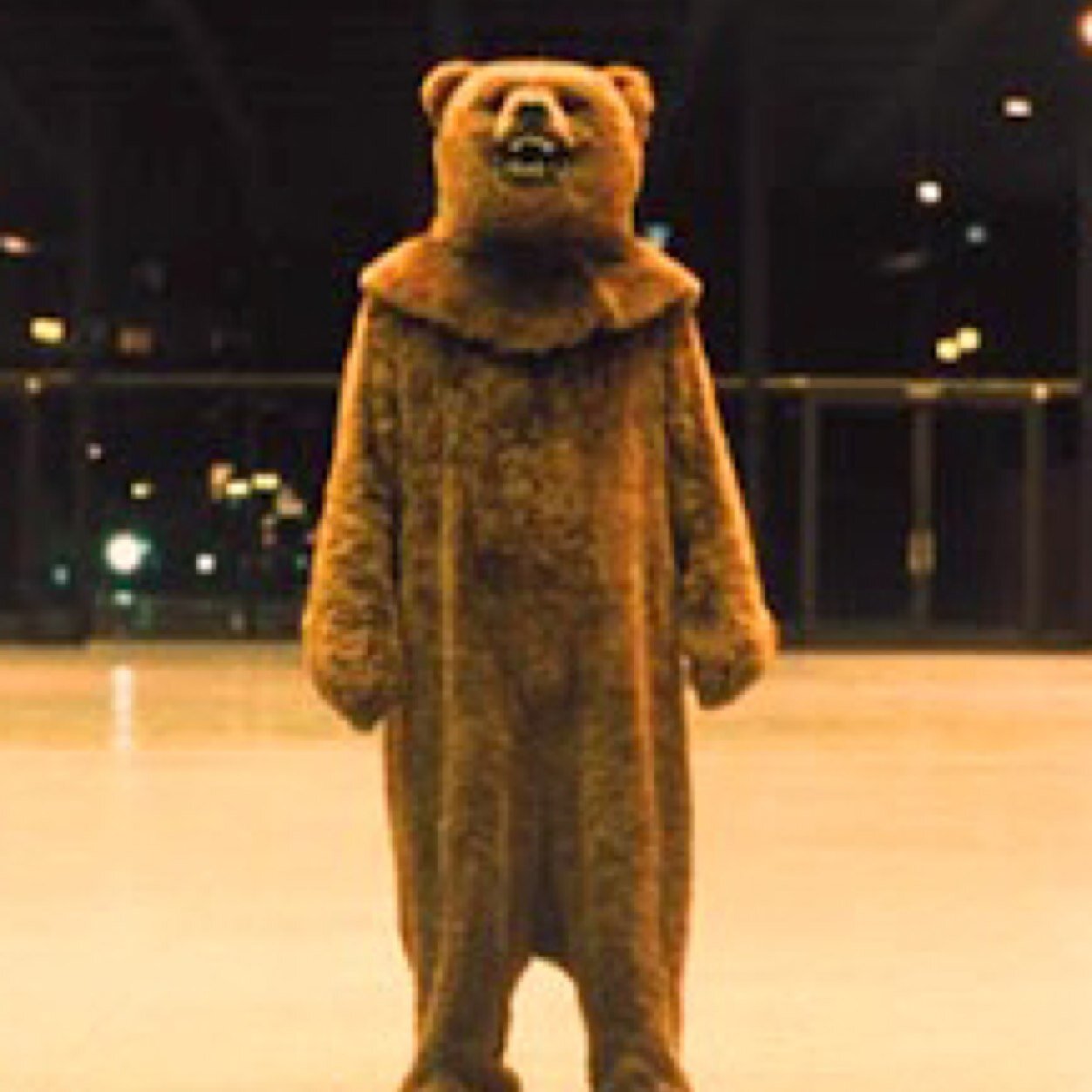 Dude In A Bear Suit (@DudeInABearSuit) | Twitter