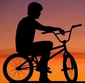 bmxturkey's profile picture. 