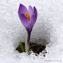 Latefa_hf's profile picture. 